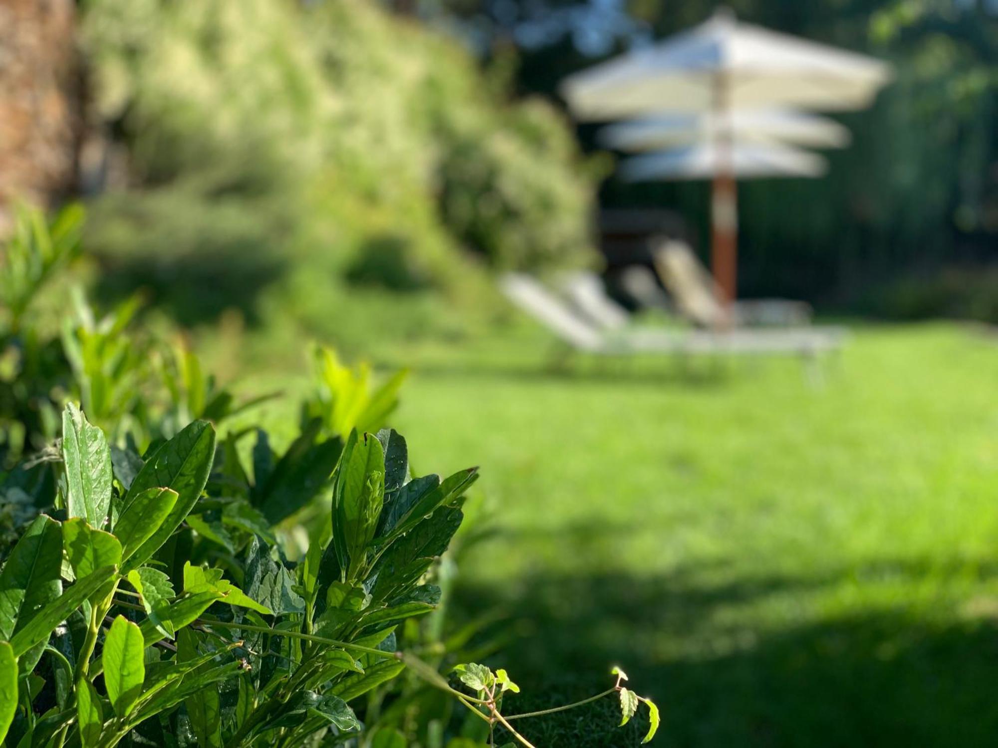 Hotel Landhaus Moserhof Gumpoldskirchen Dış mekan fotoğraf